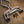 BMW X5M / X6M Valved Sport Exhaust System (F85 / F86)