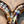 Subaru FA20 WRX Valved Sport Exhaust System