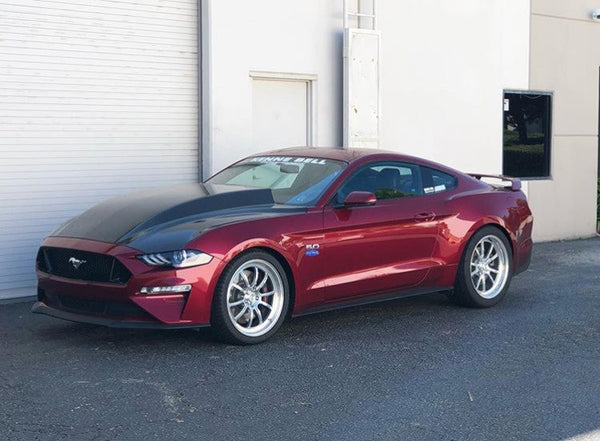 2018-2023 Ford Mustang Double Sided Type-CJ Carbon Fiber Cowl Hood