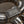 Audi R8 True F1 Exhaust System