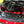 IRL Front Mount Intake G8X