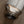 BMW F80/F82/F83/F87C M2C / M3 / M4 400 Cell Catted Downpipes