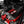 CCS C8 Corvette Z06 LT6 Carbon Fiber Engine Cover