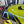 2023-2026 C8 Corvette Z06/E-Ray Z07 Rear Spoiler Carbon Fiber 1pc
