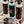 WASH&WHIPS WASH - Exterior Car Wash Kit (Step 1)