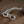 Valvetronic Valved Sport Exhaust System for Porsche 992 GT3/RS