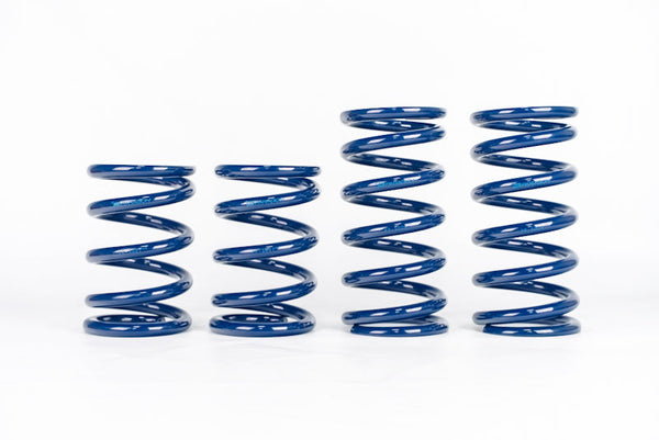 Paragon Performance C8 Corvette ZR1 Lowering Springs by Hyperco