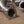 Audi C8 RS6 / RS7 400 Cell Catted Downpipes