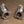 Chevy Corvette C8 / C8 Z06 400 Cell Catted Downpipes