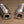 Chevy Corvette C8 / C8 Z06 400 Cell Catted Downpipes