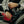 WASH&WHIPS Monaco Interior Cleaner
