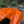 AGM C8 Corvette Z06/ERay ZR1 High Wing (Visible Carbon / Carbon Flash Metallic)