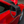 NoviStretch Mirror Covers - C4 & C8 Corvette