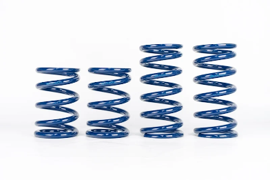 Paragon Performance C8 Corvette ZR1 Lowering Springs by Hyperco