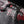 Rvng F series N63 Downpipes