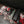 Rvng Gen 1 B58 Intake Manifold w/ Port Injection