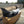 2014-2024 Lamborghini Huracan Tecnica Front Bumper Conversion Kit