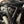 G8X CSL Style Carbon Strut Brace