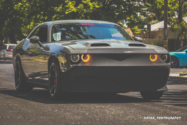 NoviStretch LX Platform Bra (Challenger, Charger, Magnum, Chrysler 300)