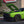 NoviStretch LX Platform Bra (Challenger, Charger, Magnum, Chrysler 300)