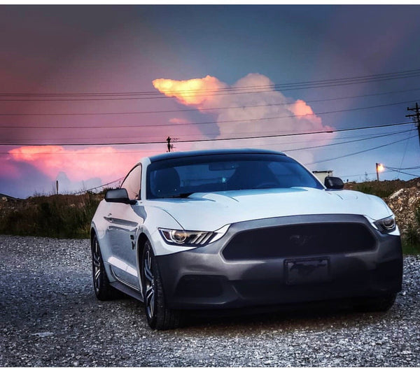 NoviStretch 6th & 7th Gen Mustang Front Bumper Mask