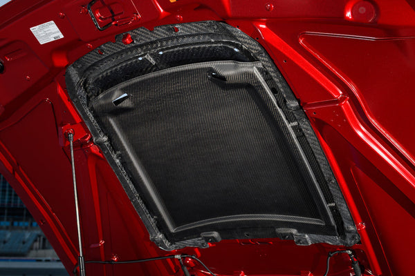 PRE-ORDER 2020 - 2021 GT500 Carbon Fiber Hood Vent Kit - Ford Performance