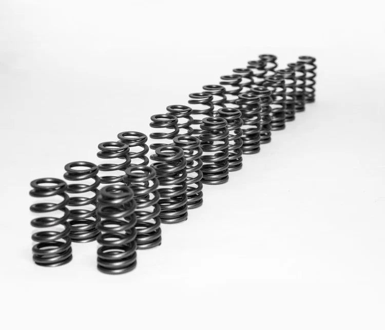 High Performance Valve Spring Kit | BMW S55/S58/B58