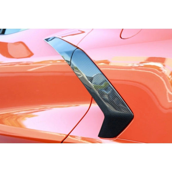 APR Carbon Fiber Door Bezels
