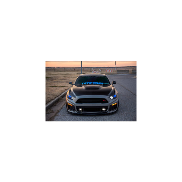 Anderson Composites 15-17 Ford Mustang (Excl. GT350/GT350R) Double Sided Hood