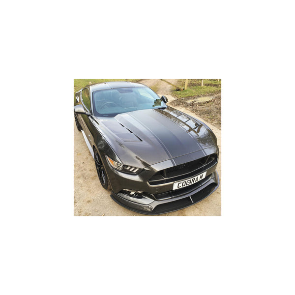 Anderson Composites 15-17 Ford Mustang (Excl. GT350/GT350R) Heat Extractor Double Sided Hood