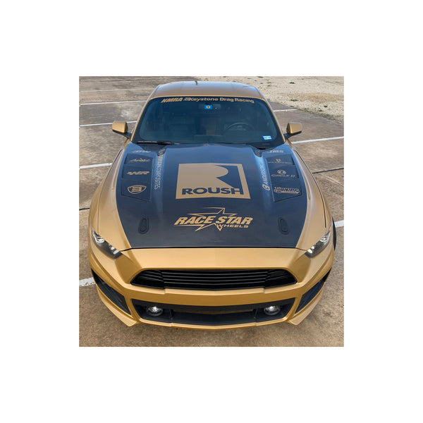 Anderson Composites 15-17 Ford Mustang (Excl. GT350/GT350R) Heat Extractor Double Sided Hood
