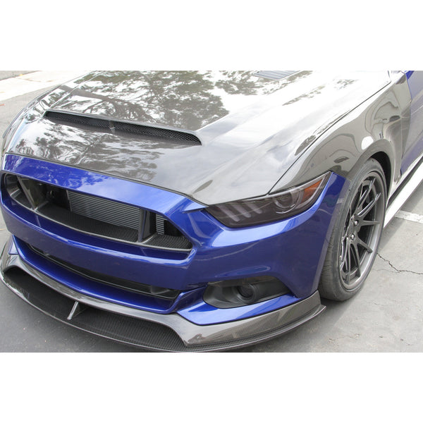 Anderson Composites 15-17 Ford Mustang (Excl. GT350/GT350R) Super Snake Double Sided Hood