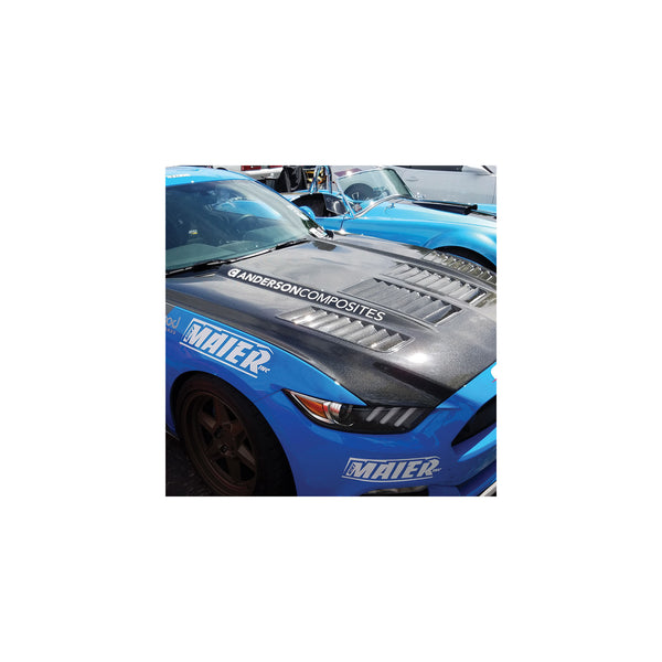 Anderson Composites 15-17 Ford Mustang (Excl. GT350/GT350R) Type-TW Double Sided Hood