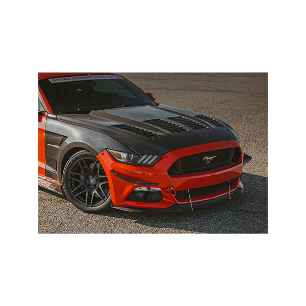 Anderson Composites 15-17 Ford Mustang (Excl. GT350/GT350R) Type-TW Double Sided Hood
