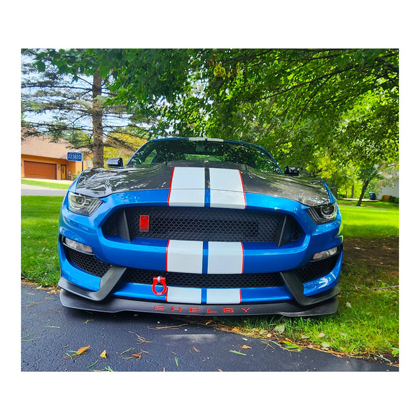 Anderson Composites 2020 Mustang Shelby GT500 Double Sided Carbon Fiber Hood