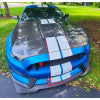 Anderson Composites 2020 Mustang Shelby GT500 Double Sided Carbon Fiber Hood