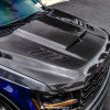 Anderson Composites 21-25 Ford F-150 Type-AB Carbon Fiber Hood
