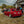 BMW E36 Sedan Clear OEM Style Tail Lights (1990-1999)