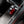 CCS C8 Corvette Red Carbon Fiber Mode Selector Overlay