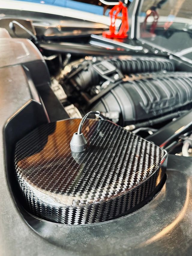 Corvette C8 Carbon Fiber Rear Strut Covers