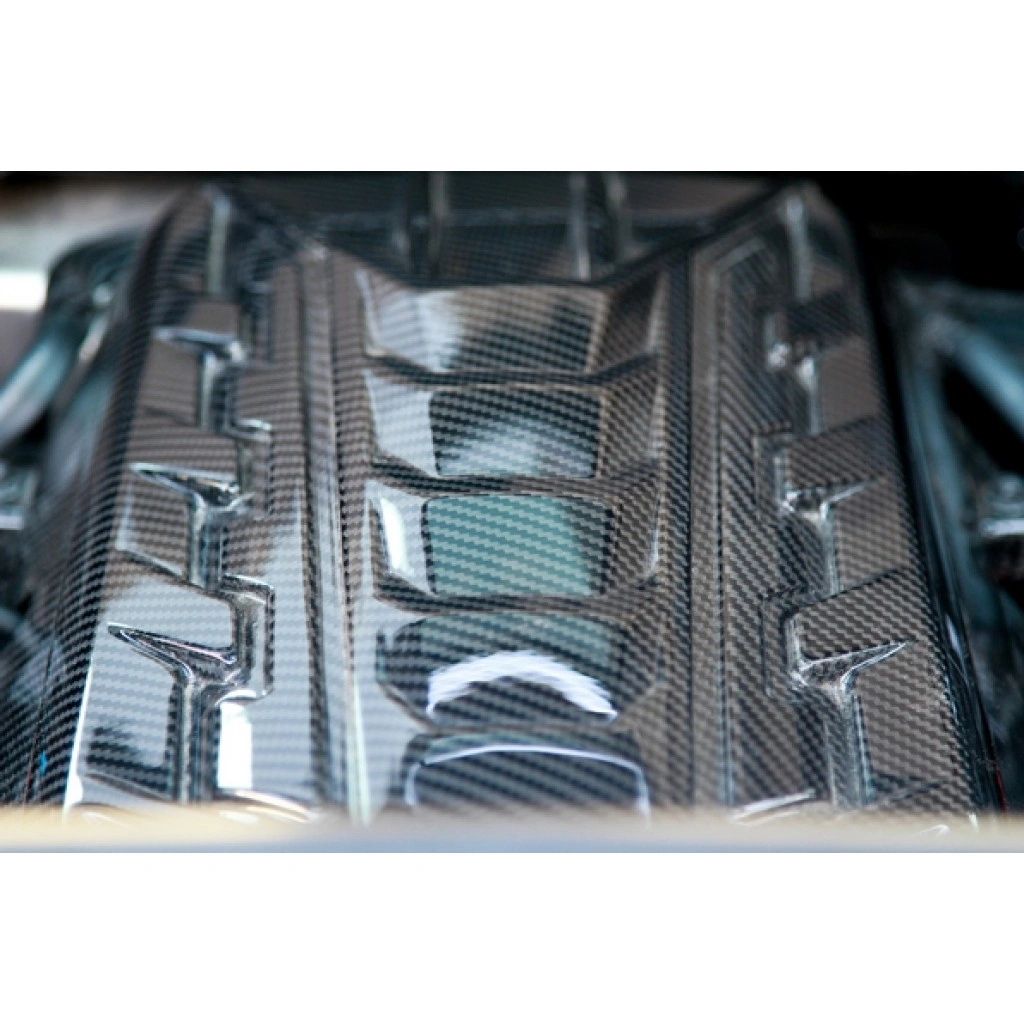 Carbon Fiber Engine Plenum Corvette c8