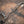 BMW F80/F82/F83 M3/M4 Equal Length Valved Sport Exhaust System