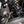 Paragon Performance C8 Corvette Z06 & ZR1 Lowering Kit - Front Lift Cars