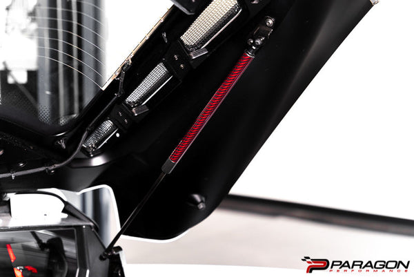 Paragon Performance C8 Corvette Carbon Fiber Hood Struts - Red