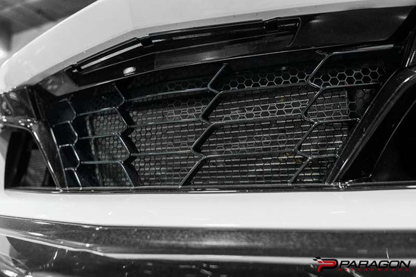 Paragon Performance C8 Corvette Eray & Z06 Radiator Guards / Grill Guards - OEM Style